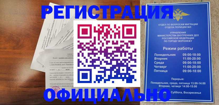 прописка поиск в Шумихе